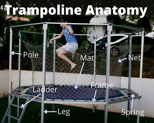 Trampoline Anatomy